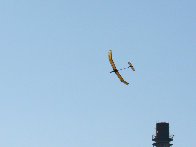 P1000321.jpg